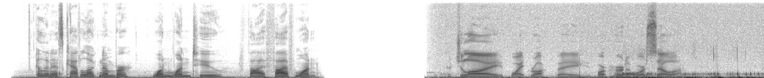 シナウスイロイルカ - ML112551