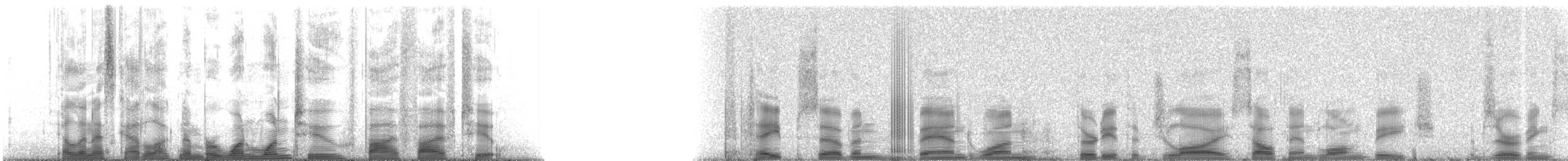 Indo-Pacific Humpback Dolphin - ML112552