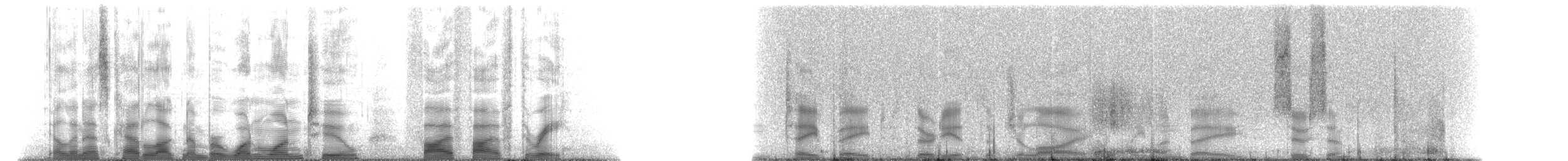 シナウスイロイルカ - ML112553