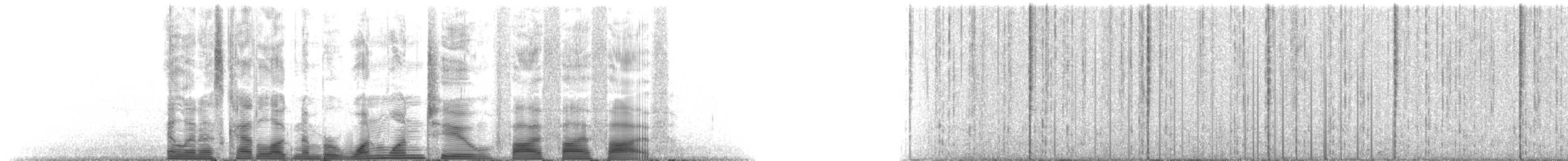 マッコウクジラ - ML112555