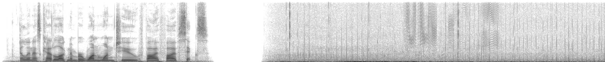 マッコウクジラ - ML112556