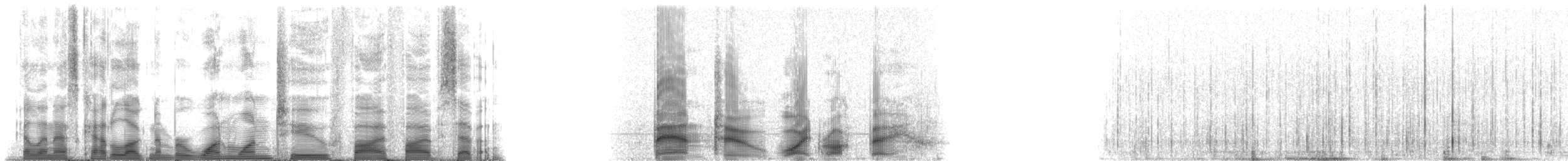 シナウスイロイルカ - ML112557
