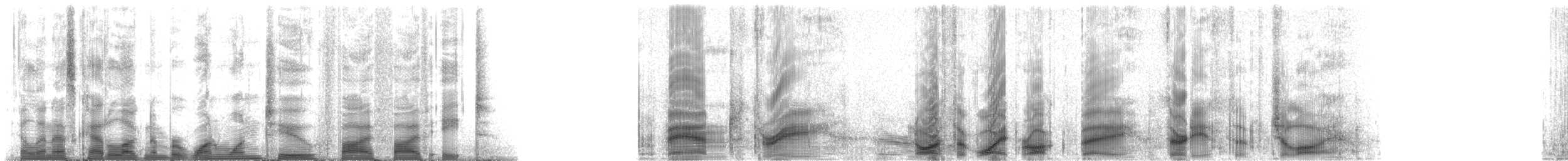 シナウスイロイルカ - ML112558