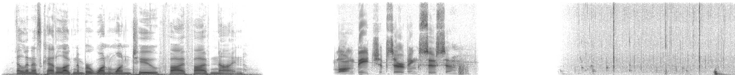 シナウスイロイルカ - ML112559