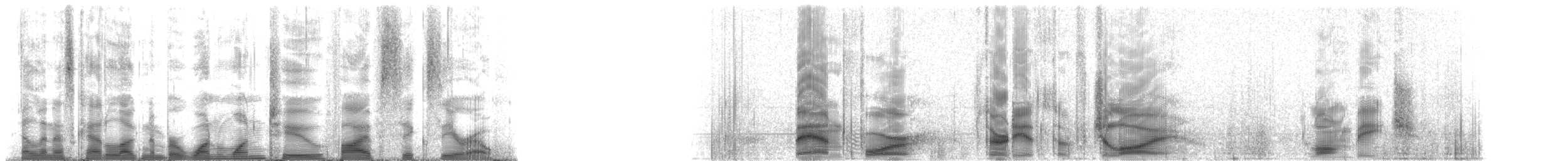 シナウスイロイルカ - ML112560