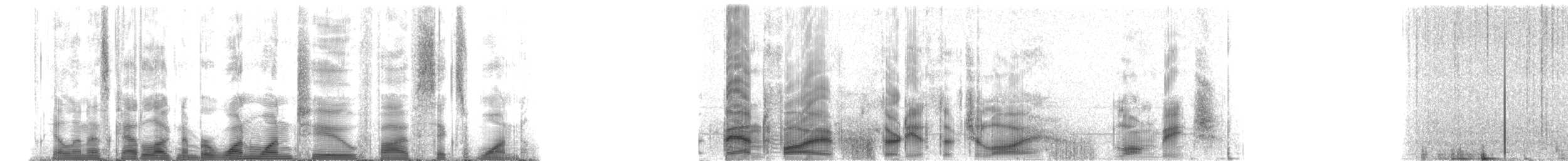シナウスイロイルカ - ML112561