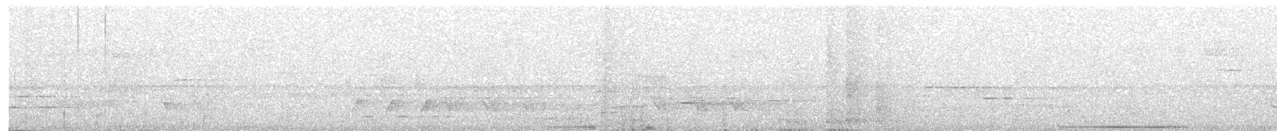 Weißgesichttaube - ML112561321