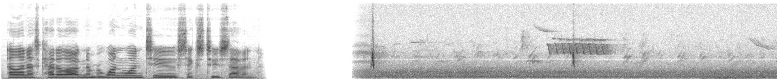 Hepatic Tanager (Northern) - ML112627