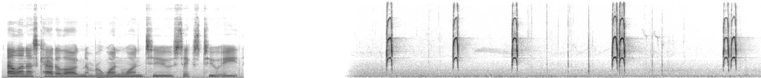 strakapoud hnědokřídlý - ML112628