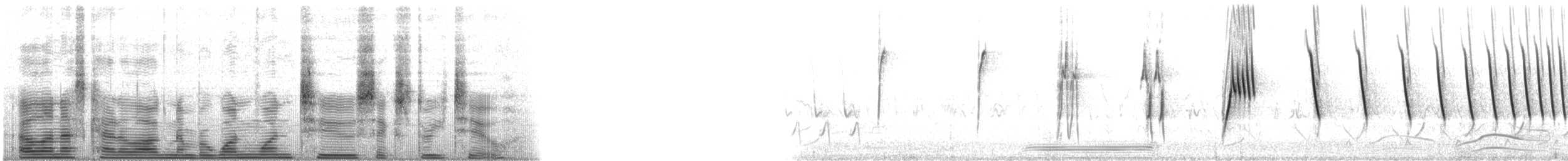 Botteri's Sparrow (Botteri's) - ML112632