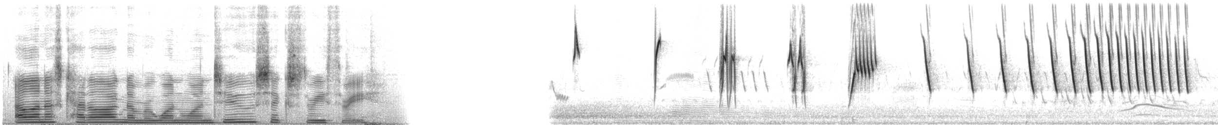 Botteri's Sparrow (Botteri's) - ML112633