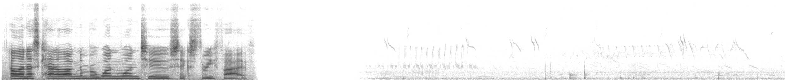 Botteri's Sparrow (Botteri's) - ML112635