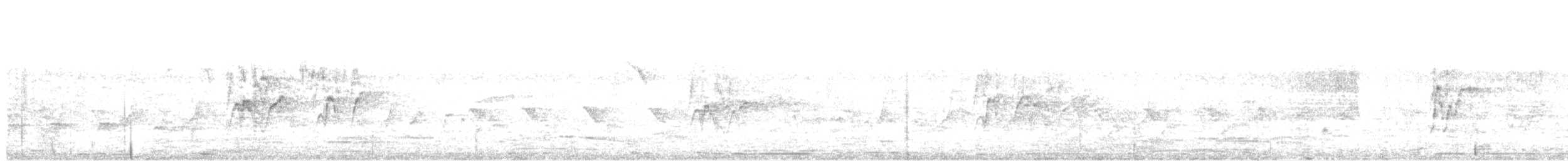 Cava Islıkçı Ördeği - ML112643221