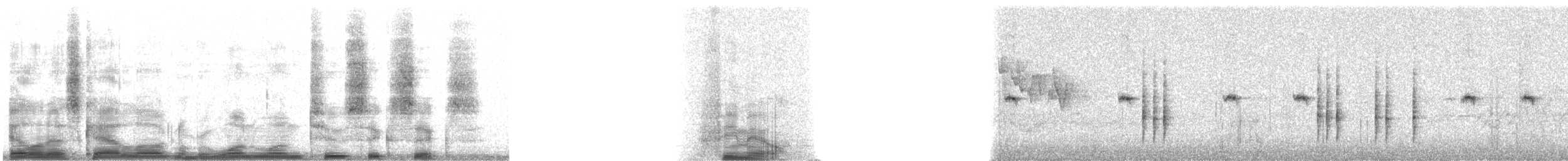 Golden Bush-Robin - ML11266