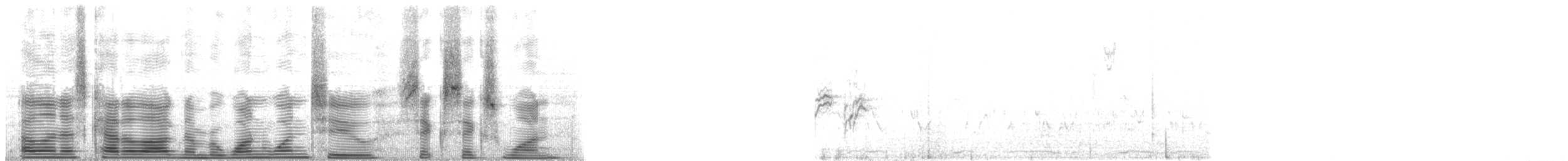 lesníček žlutoprsý (ssp. auricollis) - ML112661