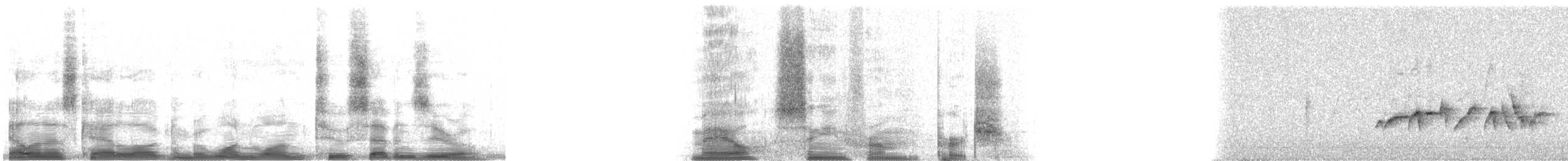 White-browed Bush-Robin - ML11270