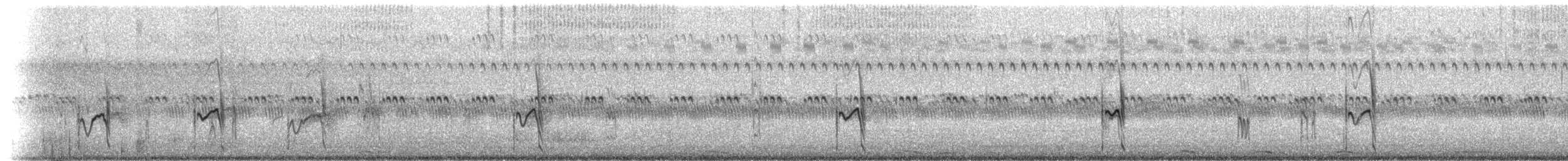 Chorlitejo Semipalmeado - ML112704471