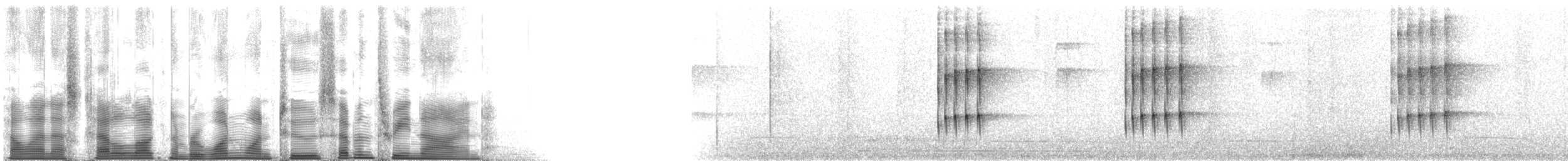 Тиран-інка буроголовий - ML112739