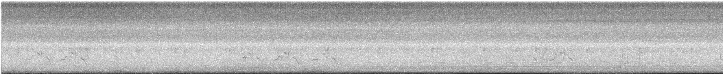 Поплітник каролінський - ML112781221