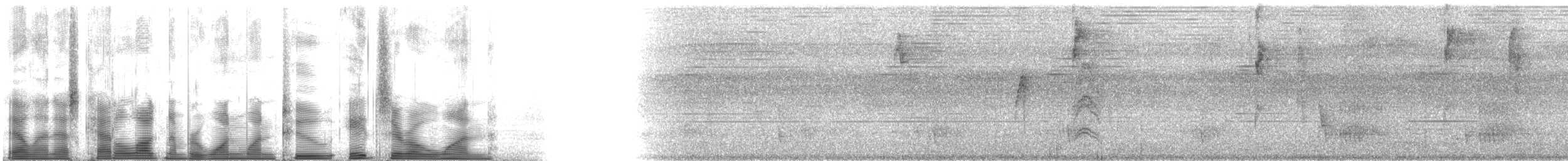 Индиговая танагра [группа velia] - ML112801