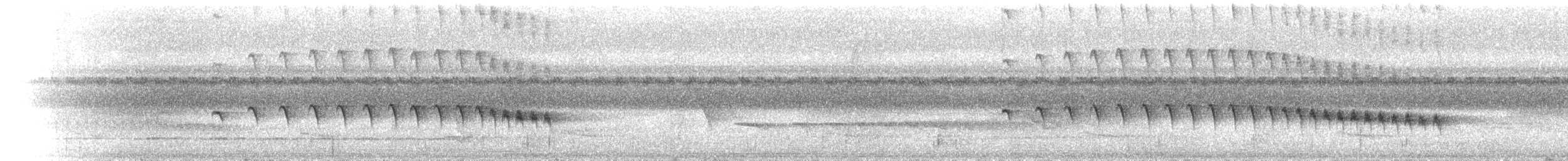 Grauwangen-Ameisenvogel - ML112819751