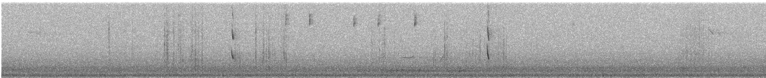 Méliphage à bec fort - ML112839801