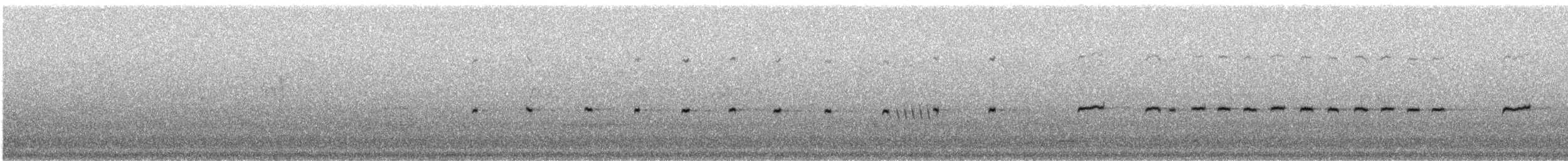 Медолюб-шилодзьоб східний - ML112839961