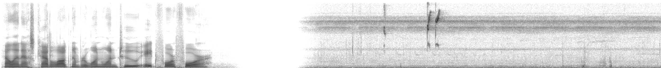 opalgumptanagar (velia gr.) - ML112844