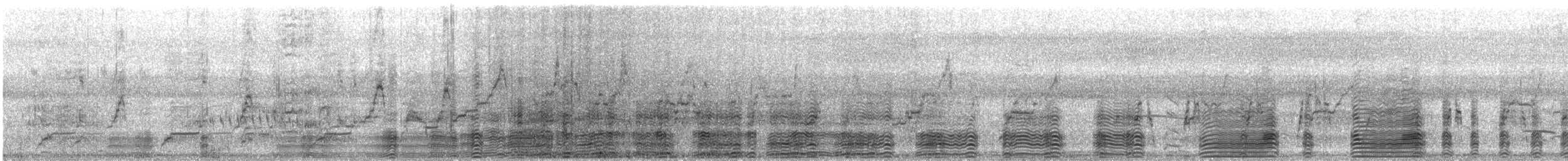 Ganso del Orinoco - ML112852841