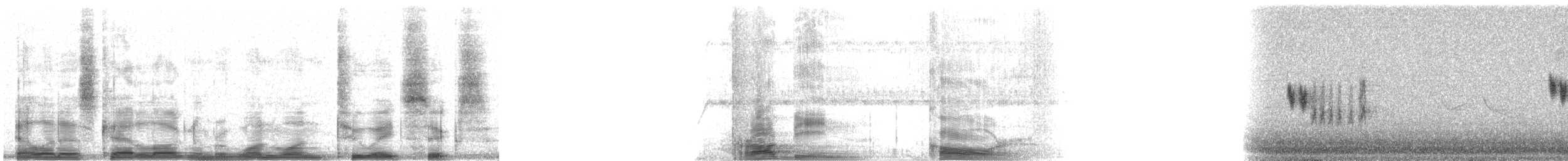 European Robin - ML11286