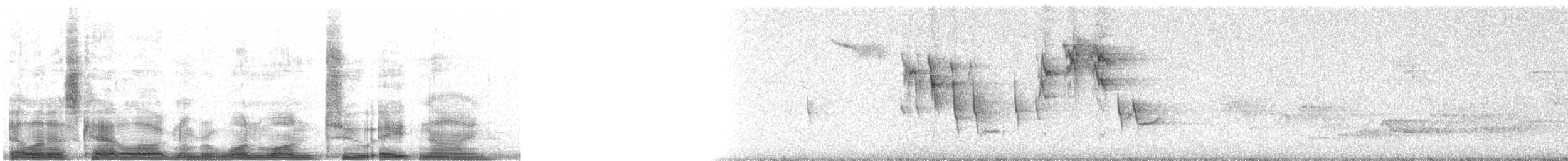 European Robin - ML11289