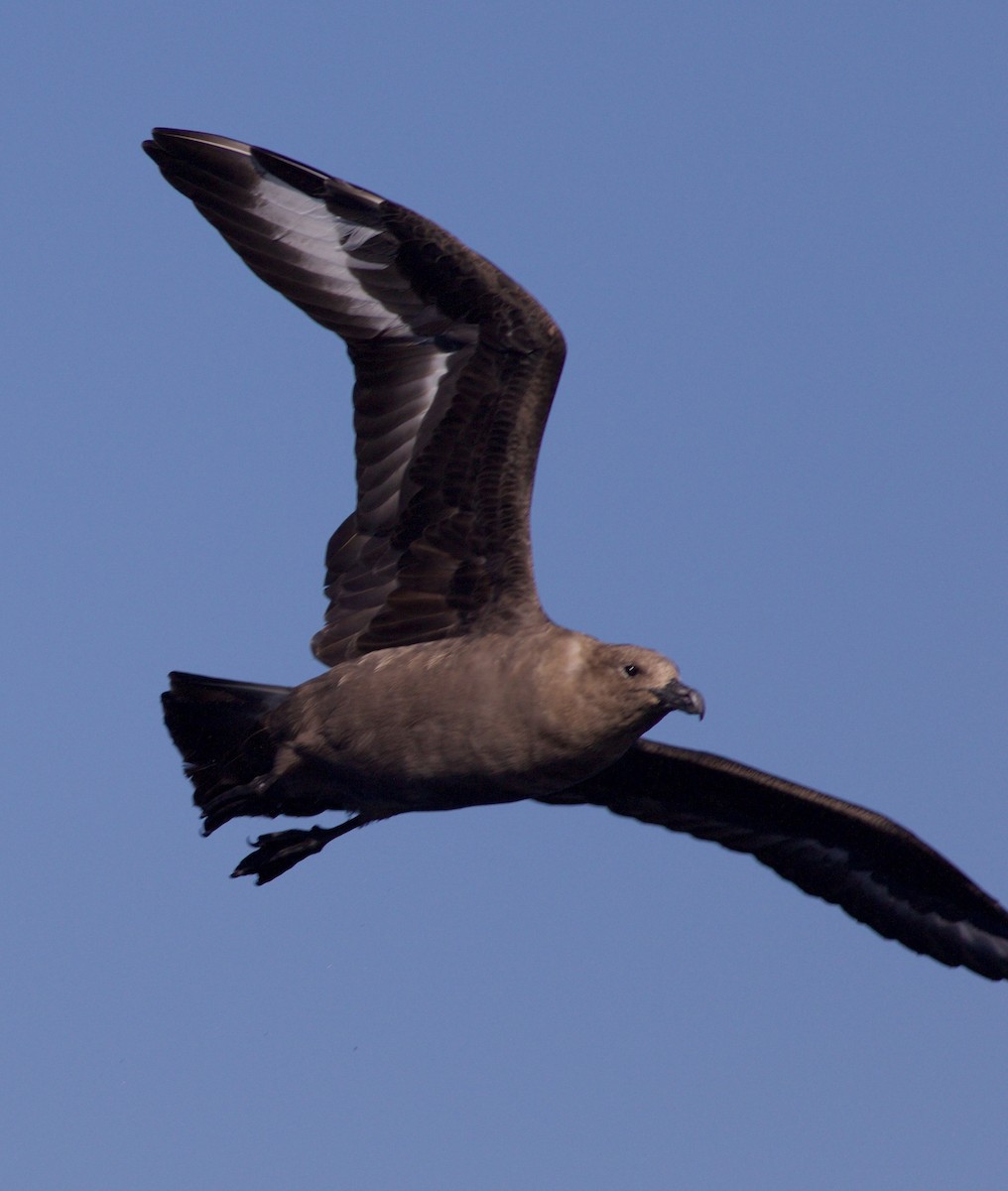 sørjo - ML112904061