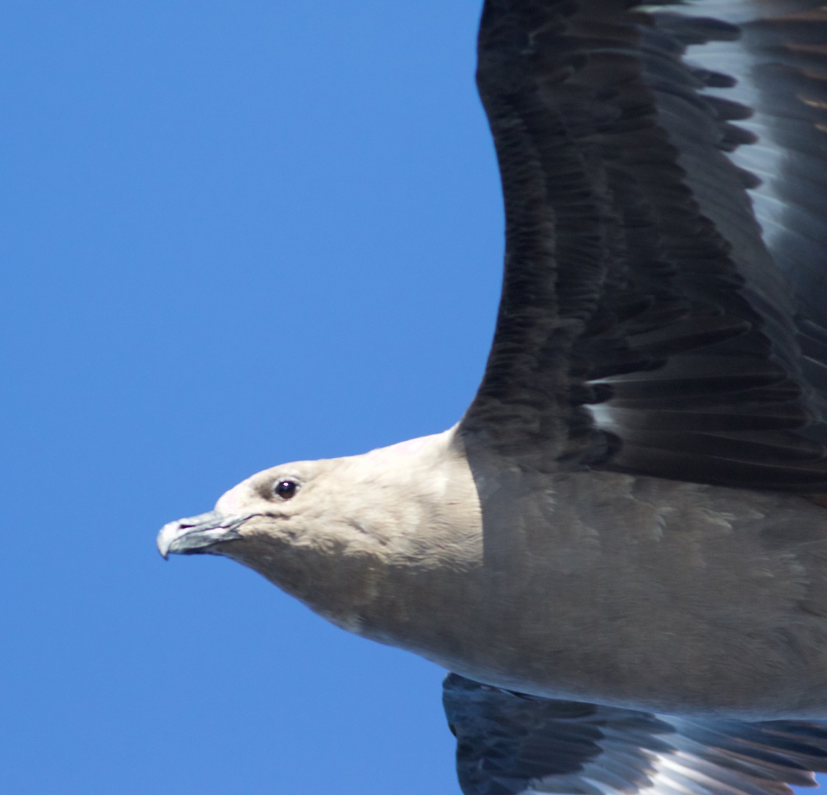 sørjo - ML112904191