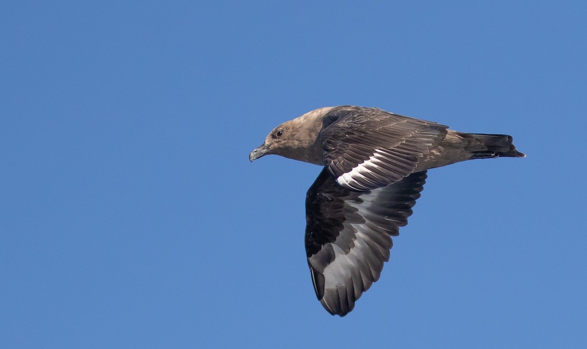 sørjo - ML112904211