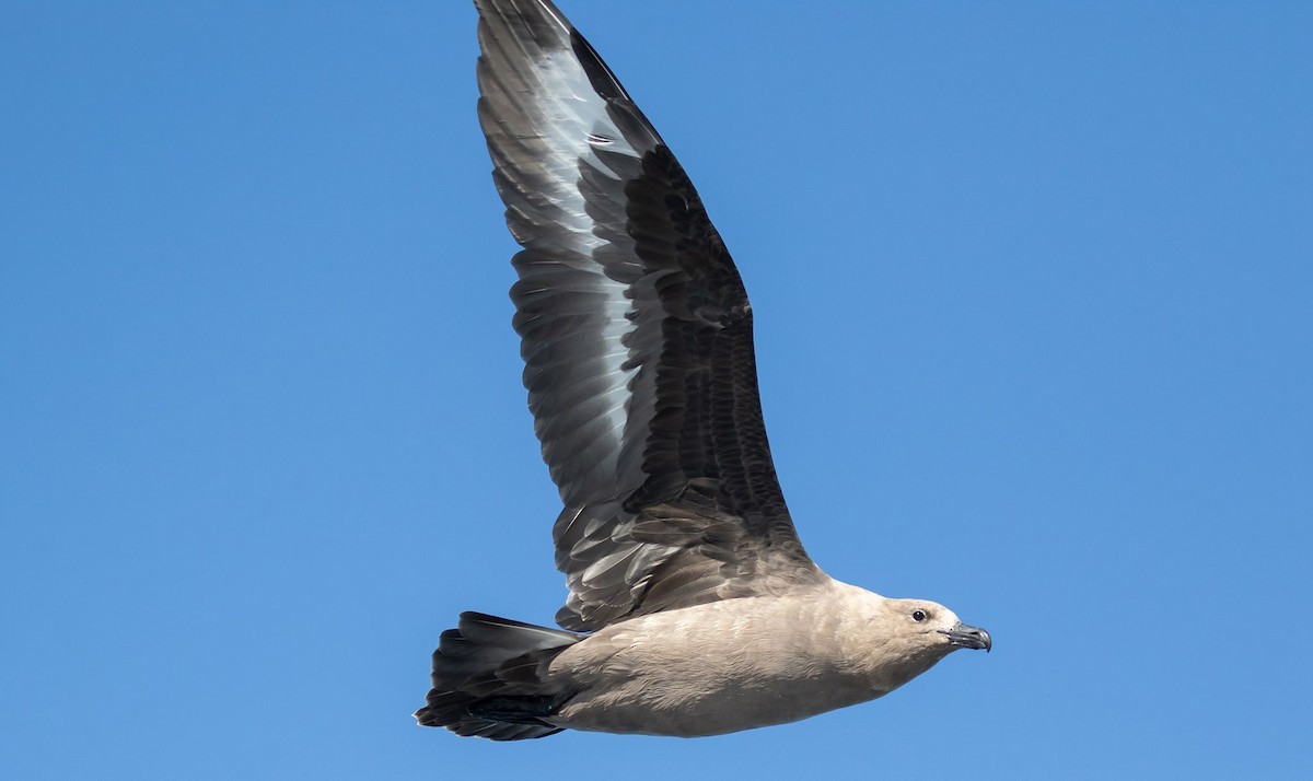 sørjo - ML112904221