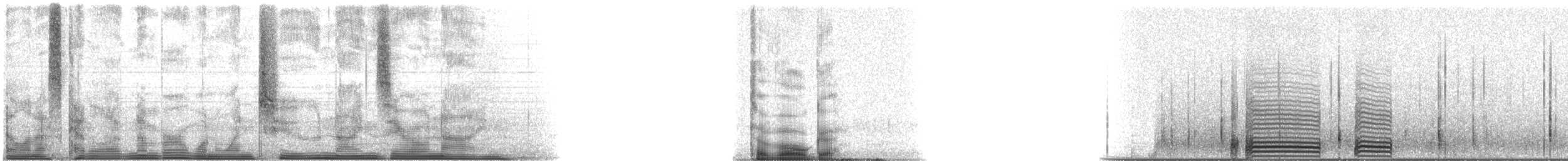 Gulf Toadfish - ML112909
