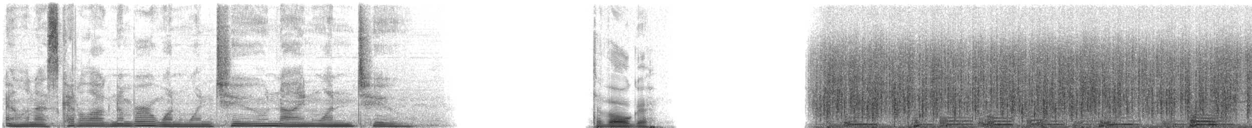 Oyster Toadfish - ML112912