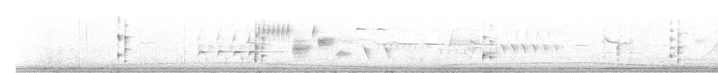 chřástal virginský (ssp. limicola/friedmanni) - ML112950851