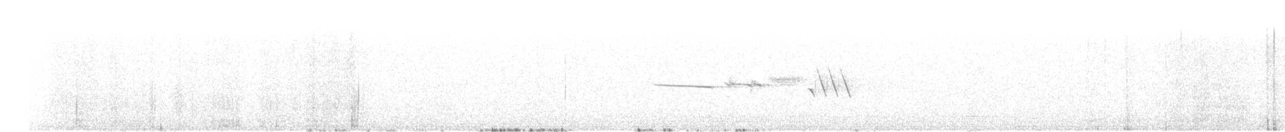 Белобровая овсянка (pugetensis) - ML112951181