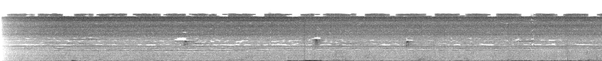 Staffelschwanz-Nachtschwalbe - ML113002851