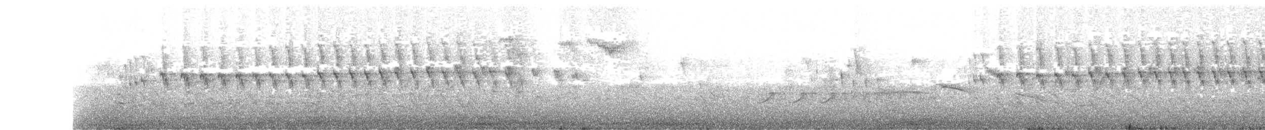 Sulphur-bearded Reedhaunter - ML113004091