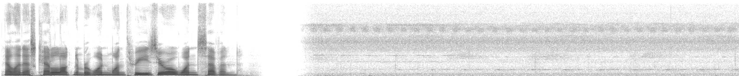 Şerit Kanatlı Çıtkuşu - ML113017