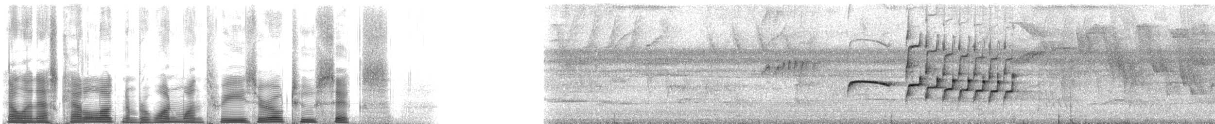 Güneyli Bıyıksız Tiranulet [pusillum grubu] - ML113026