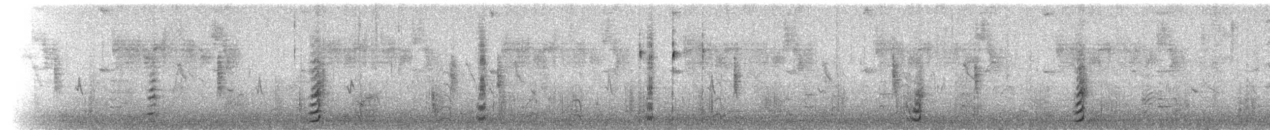 Helmwachtel - ML113087141