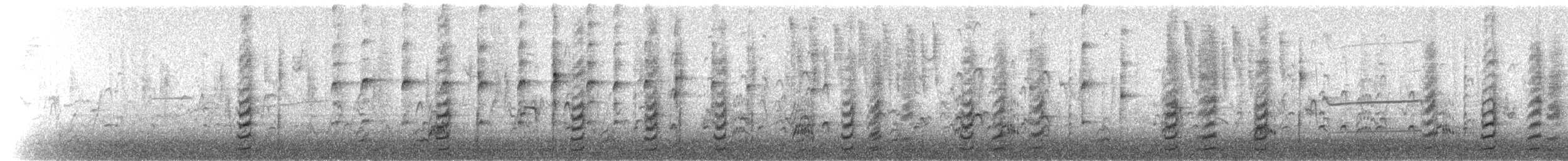 Helmwachtel - ML113088131