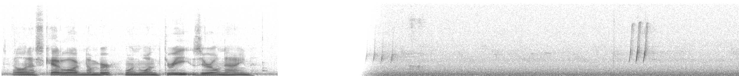 Wood Thrush - ML11309