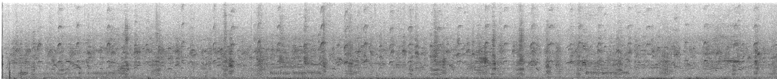אנפית בקר מערבית - ML113091761