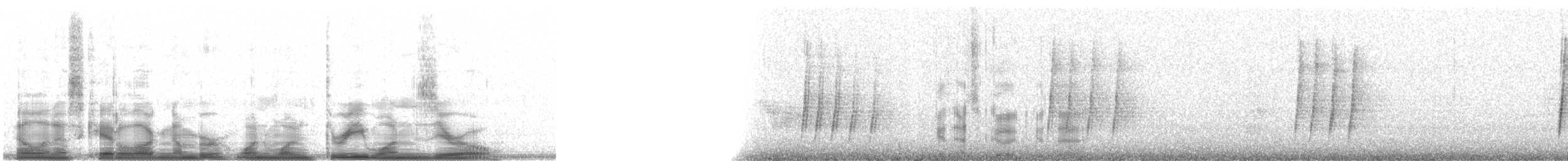 drozd rezavohlavý - ML11310