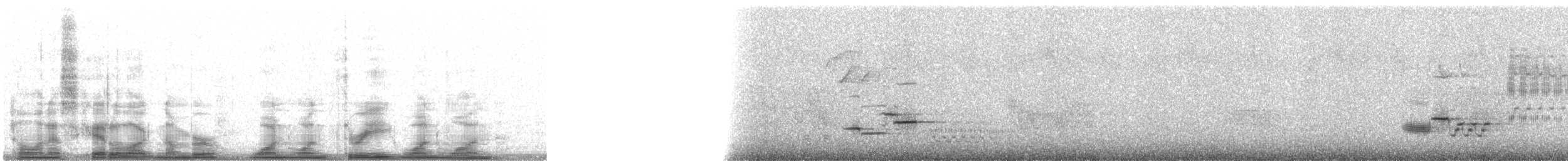 drozd rezavohlavý - ML11311