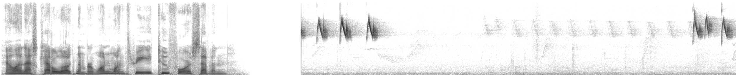 hvithakekolibri - ML113247
